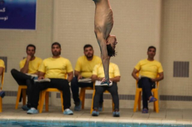 پایان کار پرندگان آبی در سال ۱۴۰۲+ عکس