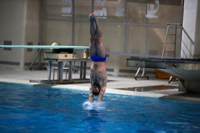 پایان کار پرندگان آبی در سال ۱۴۰۲+ عکس