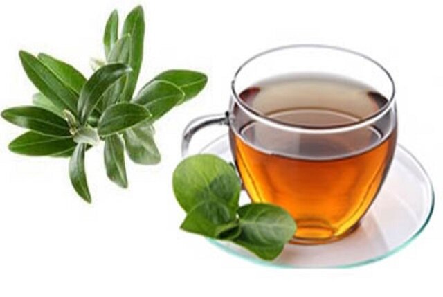 خواص «وَالزَّیْتُونِ» معجزهگر