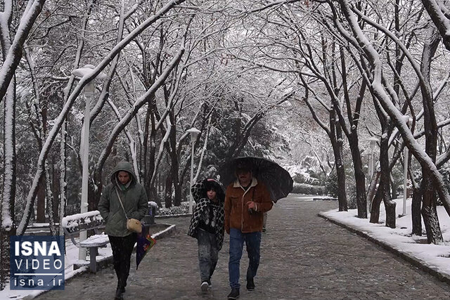 ویدئو/ اولین بارش برف زمست، در اصفهان و بیرجند
