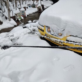 برف در شمال تهران