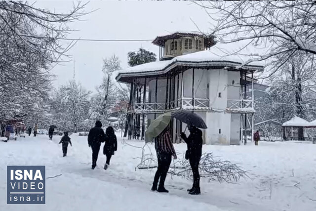 ویدیو/ گیلان سبز، سپید شد ویدیو/ گیلان سبز، سپید شد