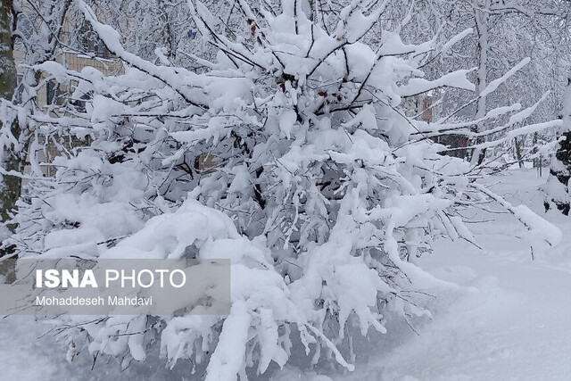 آخرین وضعیت گیلان پس از برف