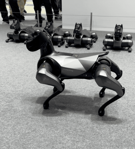 پُشتک زدن سگ رباتیک شیائومی را تماشا کنید