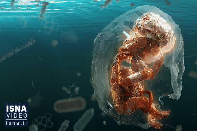 ویدیو/ راهیابی میکروپلاستیکها به درون جفت جنین! ویدیو/ راهیابی میکروپلاستیکها به درون جفت جنین!