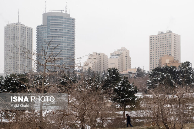 عکس تزئینی است. بارش برف در محورهای شمالی پایتخت/هشدار پلیس راهور برای رانندگی در روزهای برفی