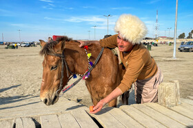 مرد ترکمن و اسب در بندر ترکمن
