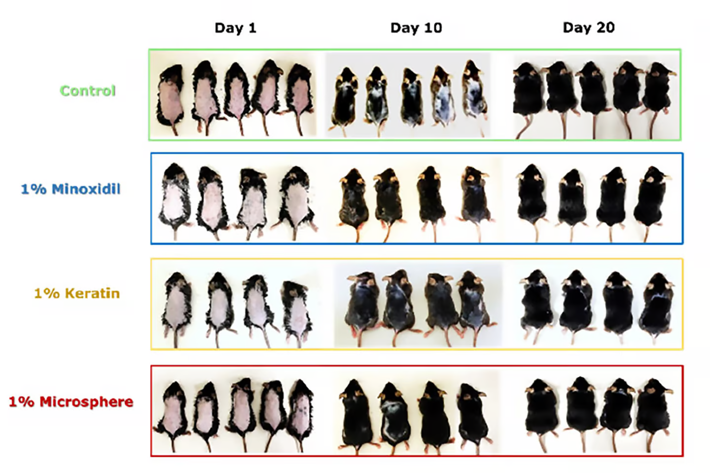 درمان ریزش مو با کراتین
