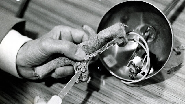 رسوا شدن ورزشکار حقهباز در المپیک