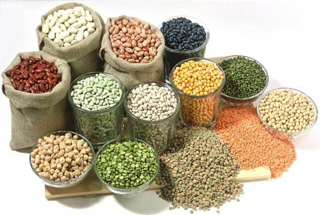توزیع حبوبات با قیمت مصوب در فروشگاههای زنجیرهای سراسر کشور در آستانه ماه مبارک رمضان توزیع حبوبات با قیمت مصوب در فروشگاههای زنجیرهای سراسر کشور در آستانه ماه مبارک رمضان