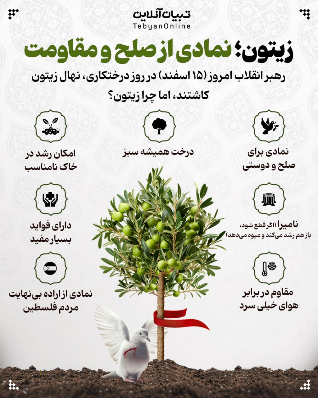 اینفوگرافیک/ چرا رهبر معظم انقلاب نهال زیتون کاشتند؟