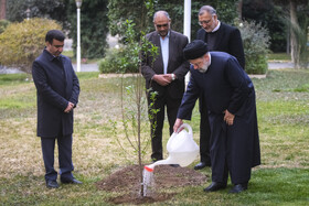 غرس یک اصله نهال توسط رئیس جمهور