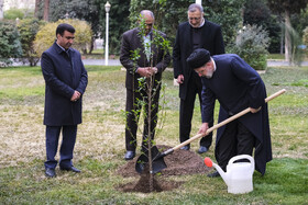 غرس یک اصله نهال توسط رئیس جمهور