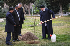 غرس یک اصله نهال توسط رئیس جمهور