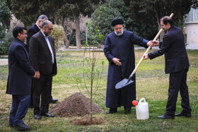 غرس یک اصله نهال توسط رئیس جمهور