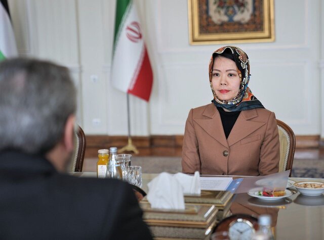 باقری: ایران و ویتنام باید تمام تلاش خود را برای توقف نسلکشی در غزه بکار بندند