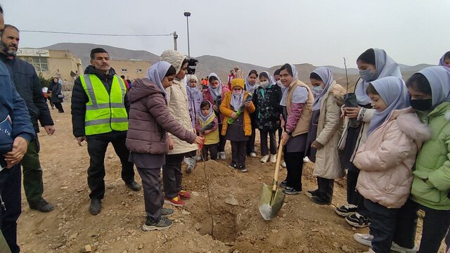 قطع درختان در دنیا منجر به نگرانیهای بسیاری شده است قطع درختان در دنیا منجر به نگرانیهای بسیاری شده است