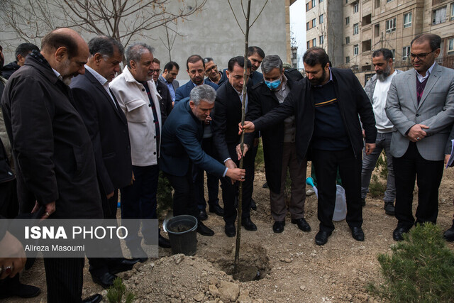 پویش «نهال نو، خانه نو» برگزار شد