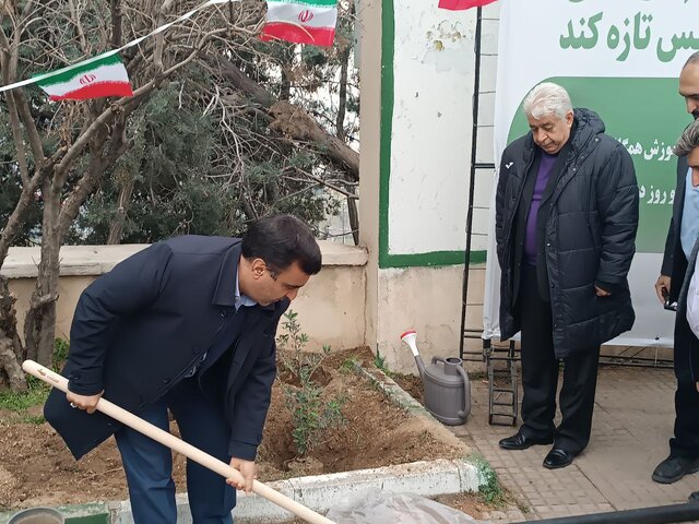 درختداری مهمتر از درختکاری است/رصد گونههای وارداتی در گمرک