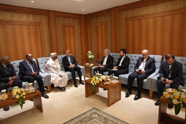 امیرعبداللهیان خواستار تلاش سازمان همکاری اسلامی برای پایان جنایات جنگی در غزه شد