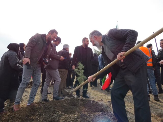 کاشت ۵۰۰ اصله نهال در تپه پرچم ملایر