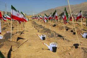 آیین روز ملی درختکاری در فارس