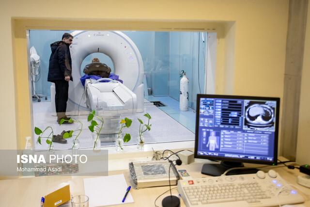 فراموششدگانی که جانی دوباره گرفتند