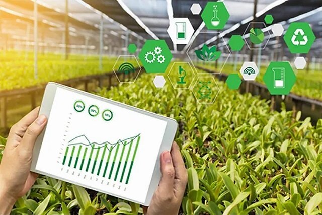 نقش محمودآباد مازندران در تامین امنیت غذایی کشور