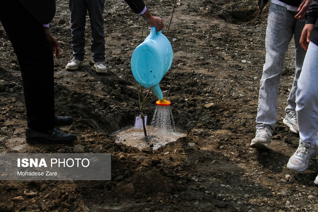 کاشت ۳۰۰۰ اصله نهال بومی در شهرستان سرچهان