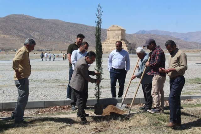 کاشت ۶۰ نهال سرو در محوطه جهانی پاسارگاد 