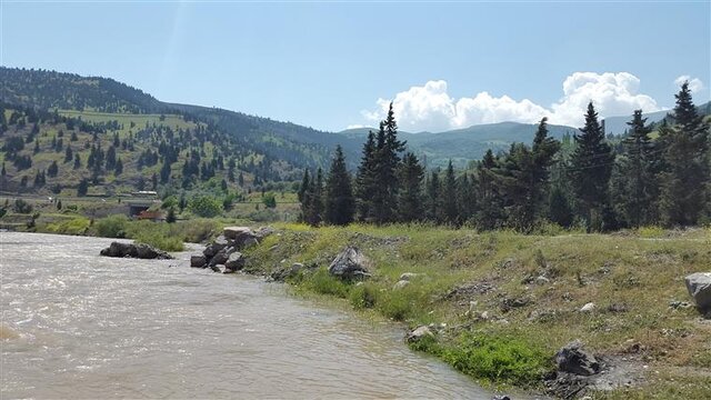 عکس تزیینی است از زایشگاه طبیعی ماهیان در برابر صید غیرمجاز حفاظت می کنیم