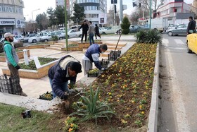 پارک‌ها و میادین سنندج با گل و گلدان آراسته می‌شوند