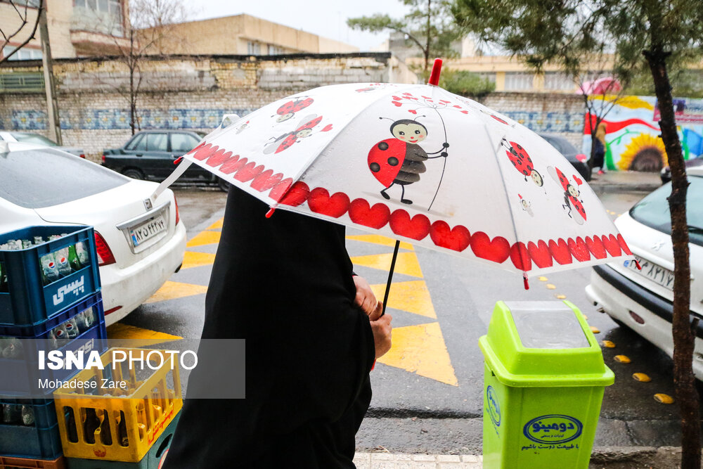 بارش باران در مشهد