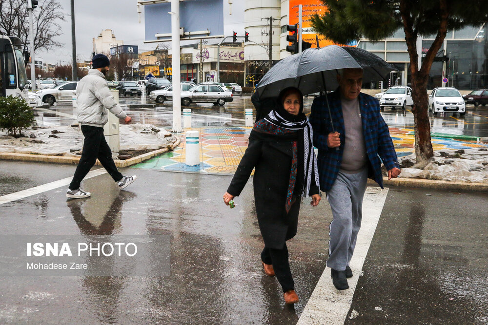 بارش باران در مشهد