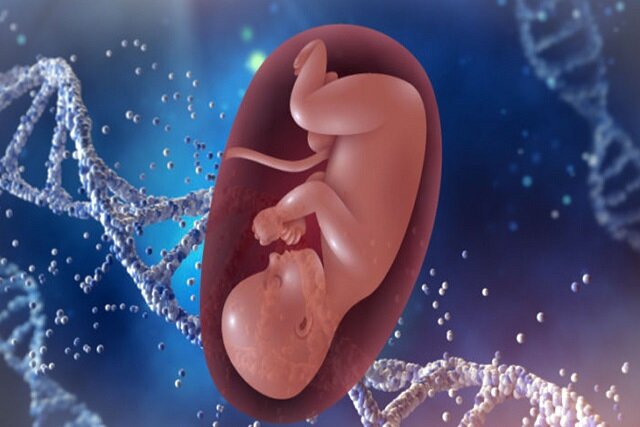 با نانوذرات لیپیدی استفاده از برخی داروها برای زنان باردار ایمن میشود با نانوذرات لیپیدی استفاده از برخی داروها برای زنان باردار ایمن میشود