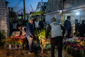 بازار گل محلاتی در آستانه عید نوروز