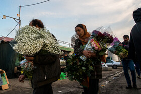 بازار گل محلاتی در آستانه عید نوروز