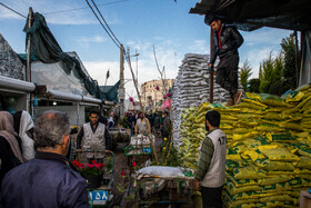 بازار گل محلاتی در آستانه عید نوروز
