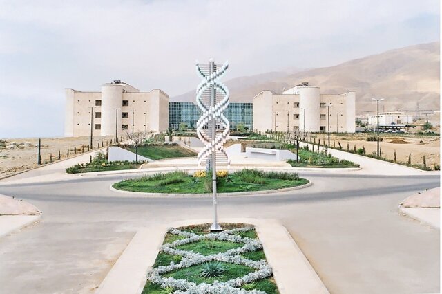 کسب رتبه اول همکاریهای علمی بینالمللی توسط پژوهشگاه ژنتیک کسب رتبه اول همکاریهای علمی بینالمللی توسط پژوهشگاه ژنتیک
