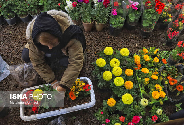 برپایی نمایشگاه گل و گیاه لاهیجان در آستانه بهار