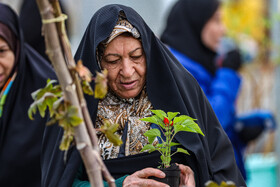 بازار بین المللی گل و گیاه سپاهان