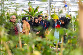 بازار بین المللی گل و گیاه سپاهان