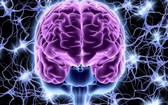 اختلالات مربوط به سیستم عصبی، شایعترین بیماریها در جهان هستند اختلالات مربوط به سیستم عصبی، شایعترین بیماریها در جهان هستند