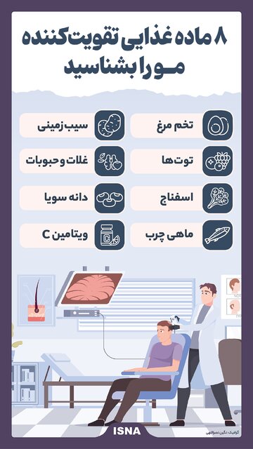 اینفوگرافیک/ ۸ ماده غذایی تقویت کننده مو را بشناسید