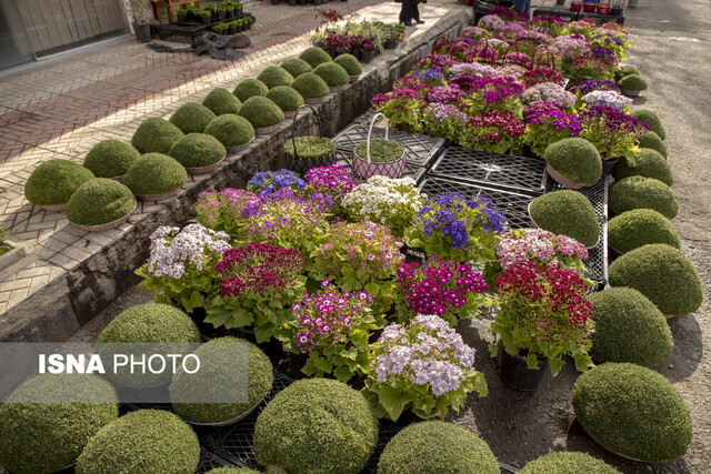 عکس تزئینی است اجرای طرحهای بهاره، راهی برای افزایش ماندگاری مسافران نوروزی در ابهر