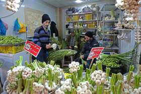 فروش گل در شهر رشت