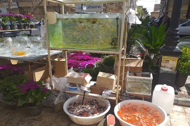 حال و هوای بازار بجنورد در چند قدمی سال نو