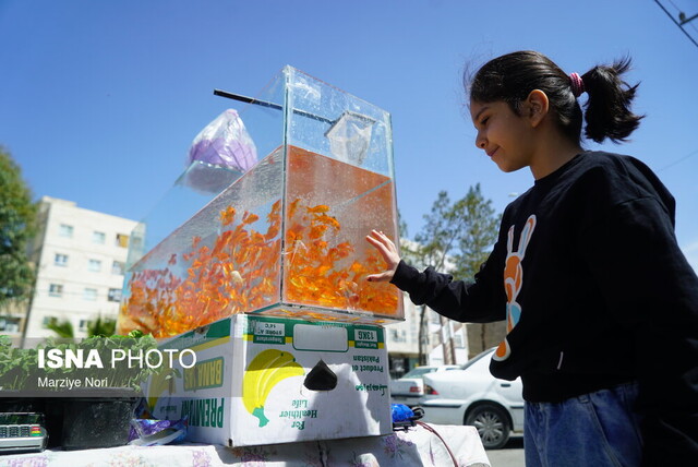 ماهی قرمز سفره هفتسین، تهدیدی برای سلامتی