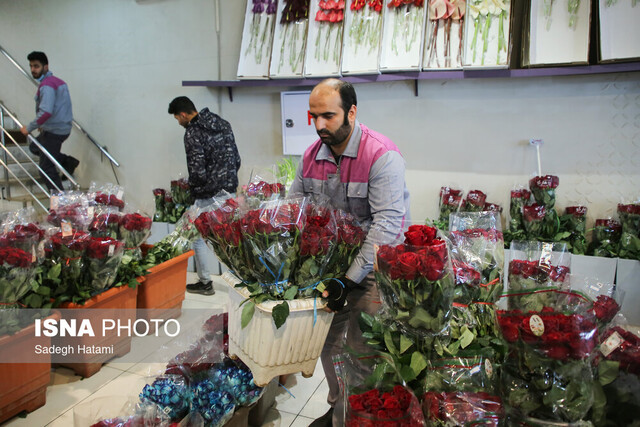 امکان افزایش ماندگاری گُل‌های چیده شده در آب 