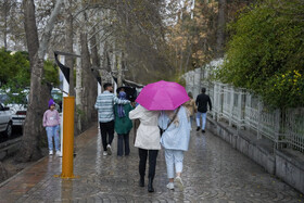 بارش باران در شیراز